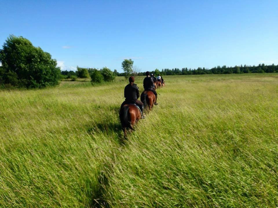Hotel Sassi Talu Horsefarm Parnu Esterno foto