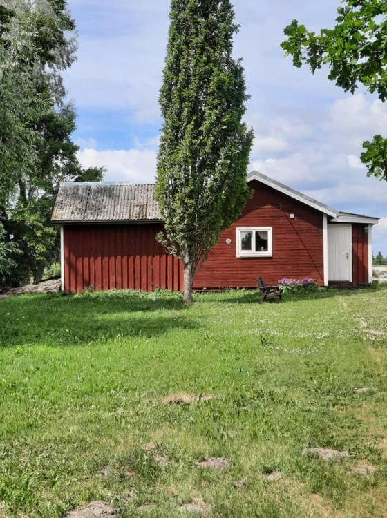 Hotel Sassi Talu Horsefarm Parnu Esterno foto